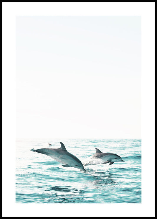 Watercolor two dolphins poster for nursery and home wall decor.