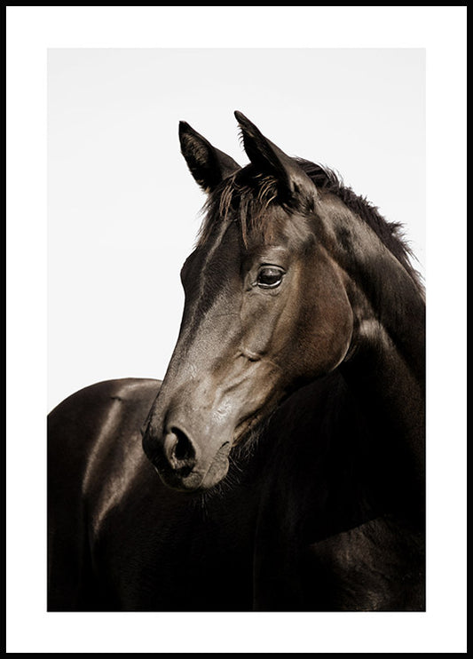 Watercolor brown horse poster for nursery and home wall decor.