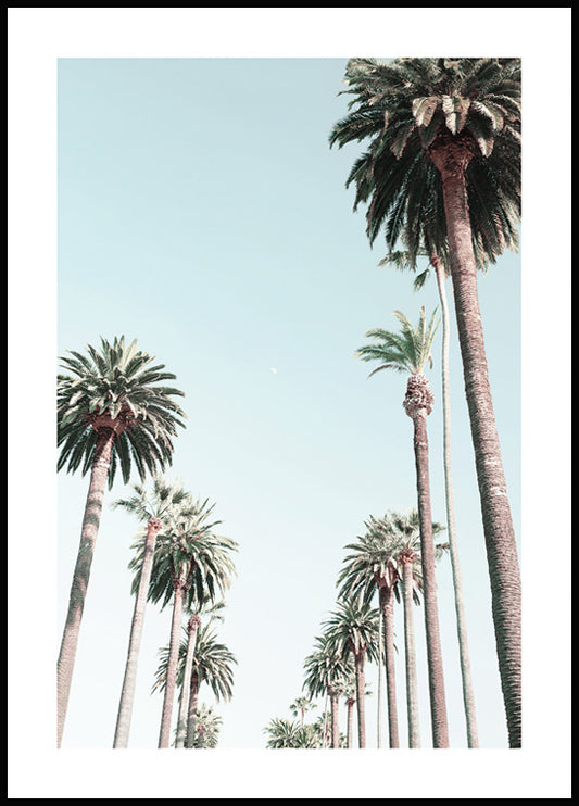 Watercolor palm trees poster for nursery and home wall decor.