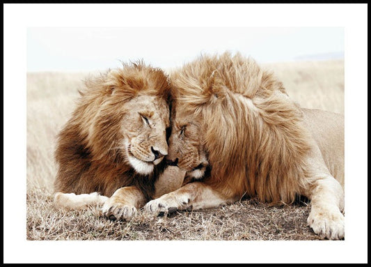 Watercolor lion brothers poster for nursery and home wall decor.