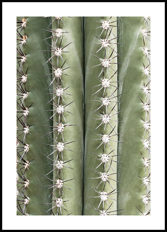 Watercolor cactus spines poster for nursery and home wall decor.