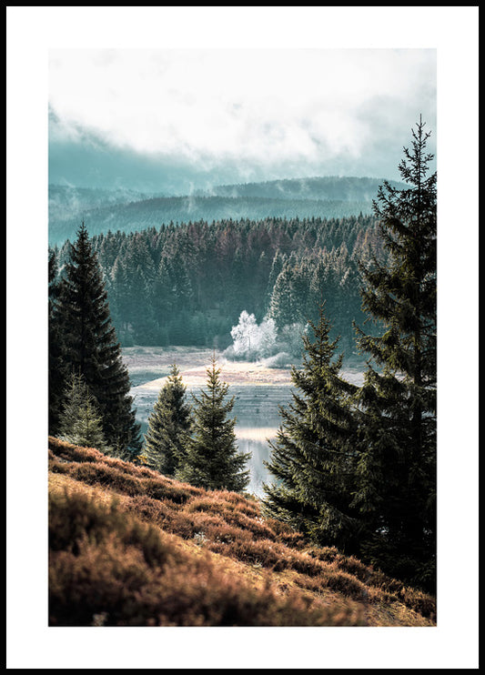 Watercolor forest view poster for nursery and home wall decor.