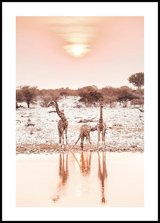Watercolor giraffes at sunset poster for nursery and home wall decor.
