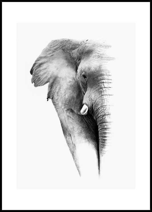 Watercolor elephant poster for nursery and home wall decor.