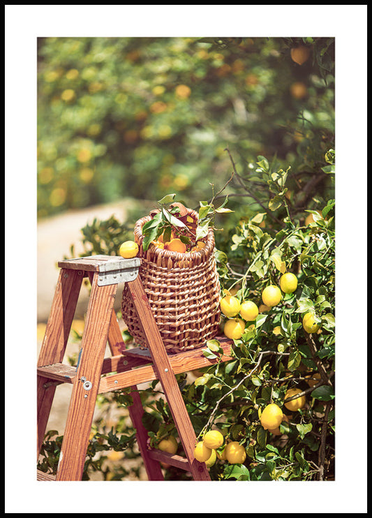 Watercolor lemon harvest poster for nursery and home wall decor.
