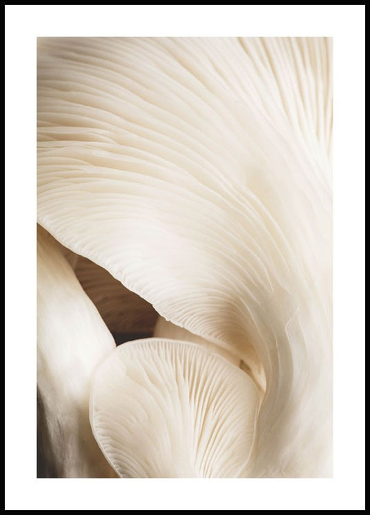 Watercolor soft mushrooms poster for nursery and home wall decor.