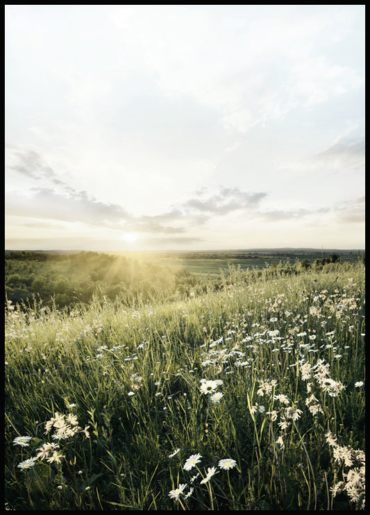 Watercolor sunrise meadow poster for nursery and home wall decor.