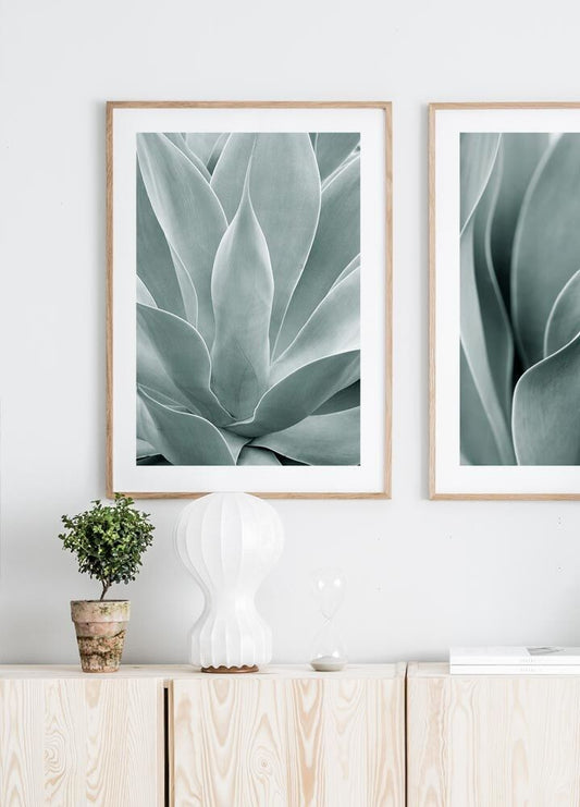 Watercolor agave cactus poster for nursery and home wall decor.