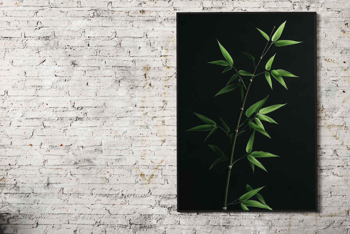Bamboo Branch on Black Asian Style Poster | Wall Art for Home & Office | High-Quality Print