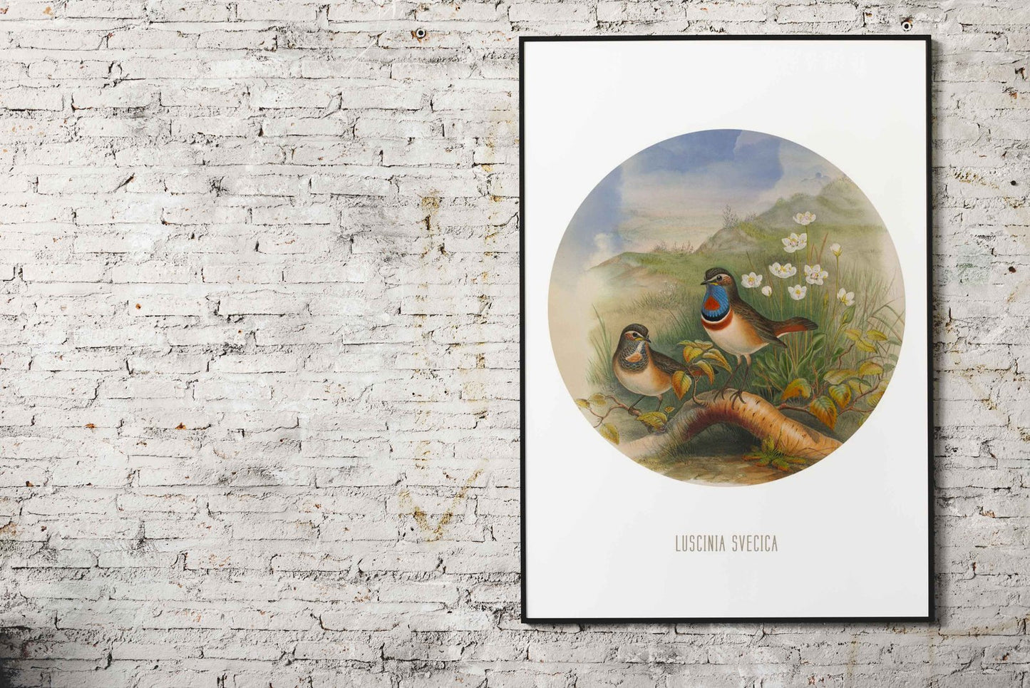 Bluethroat Bird Print Asian Style Poster | Wall Art for Home & Office | High-Quality Print