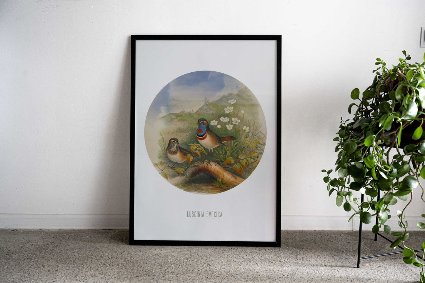 Bluethroat Bird Print Asian Style Poster | Wall Art for Home & Office | High-Quality Print