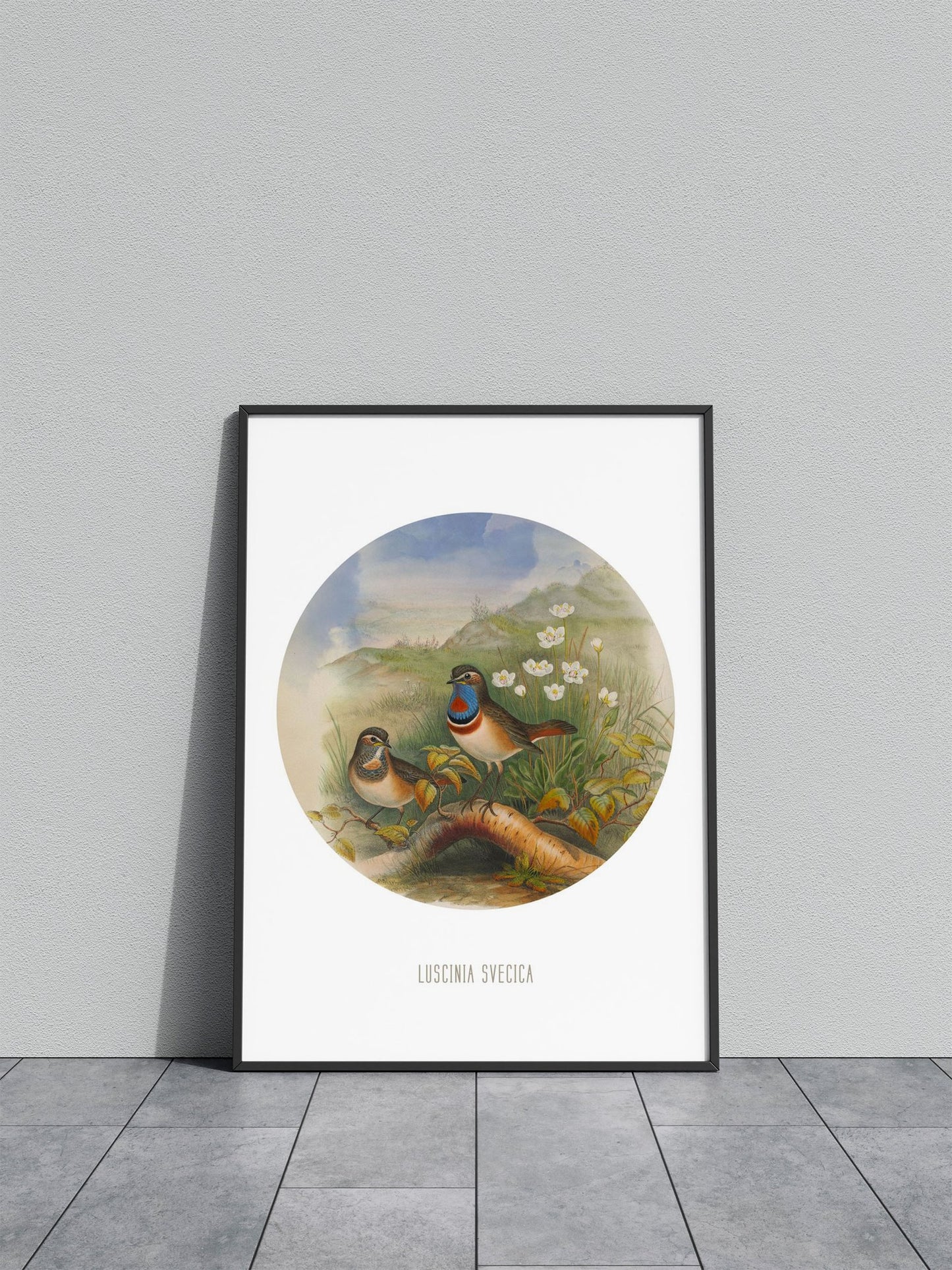Bluethroat Bird Print Asian Style Poster | Wall Art for Home & Office | High-Quality Print