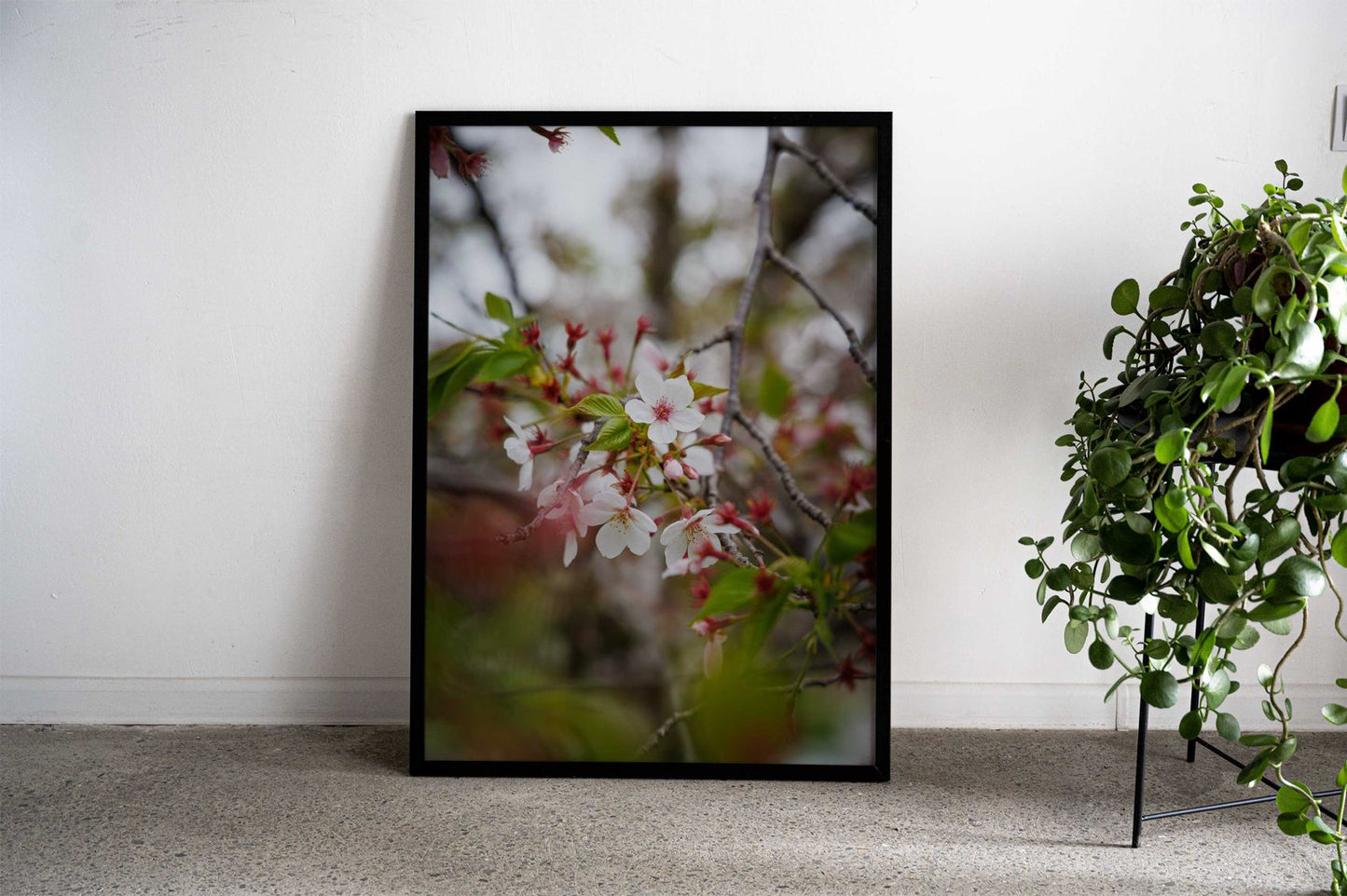 Cherry Blossom Asian Style Poster | Wall Art for Home & Office | High-Quality Print - High-Quality Visual Display