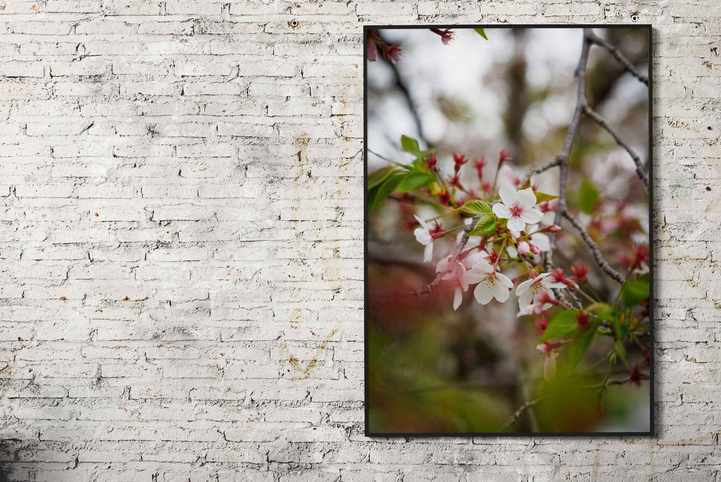 Cherry Blossom Asian Style Poster | Wall Art for Home & Office | High-Quality Print - High-Quality Visual Display