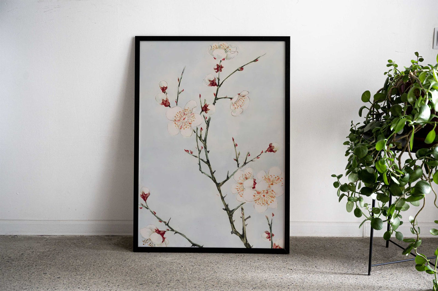 Delicate White Blossoms Asian Style Poster | Wall Art for Home & Office | High-Quality Print - High-Quality Visual Display