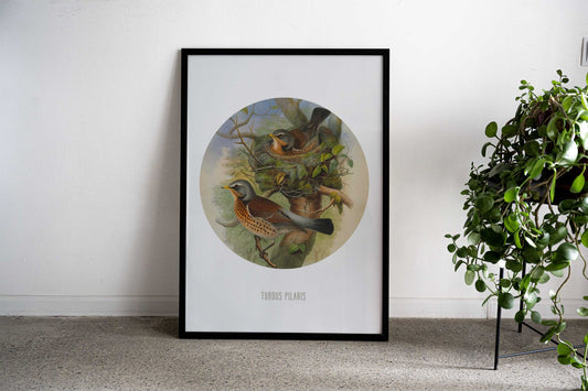 Fieldfare Print Asian Style Poster | Wall Art for Home & Office | High-Quality Print - High-Quality Visual Display