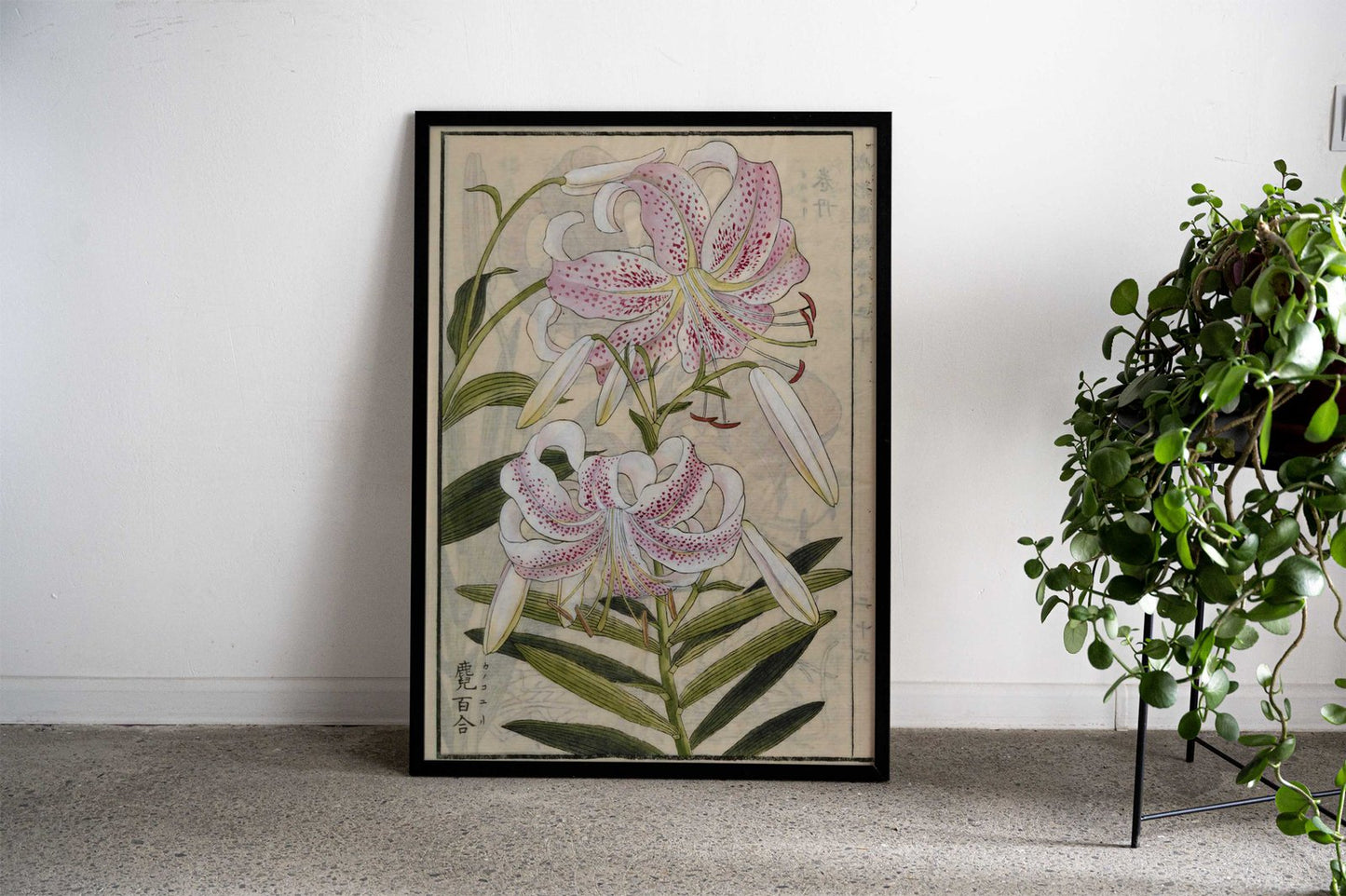 Lilium Speciosum Thunb Asian Style Poster | Wall Art for Home & Office | High-Quality Print - High-Quality Visual Display