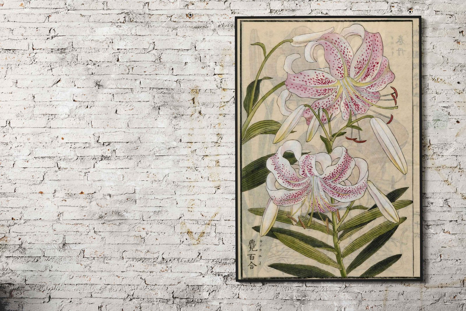 Lilium Speciosum Thunb Asian Style Poster | Wall Art for Home & Office | High-Quality Print - High-Quality Visual Display