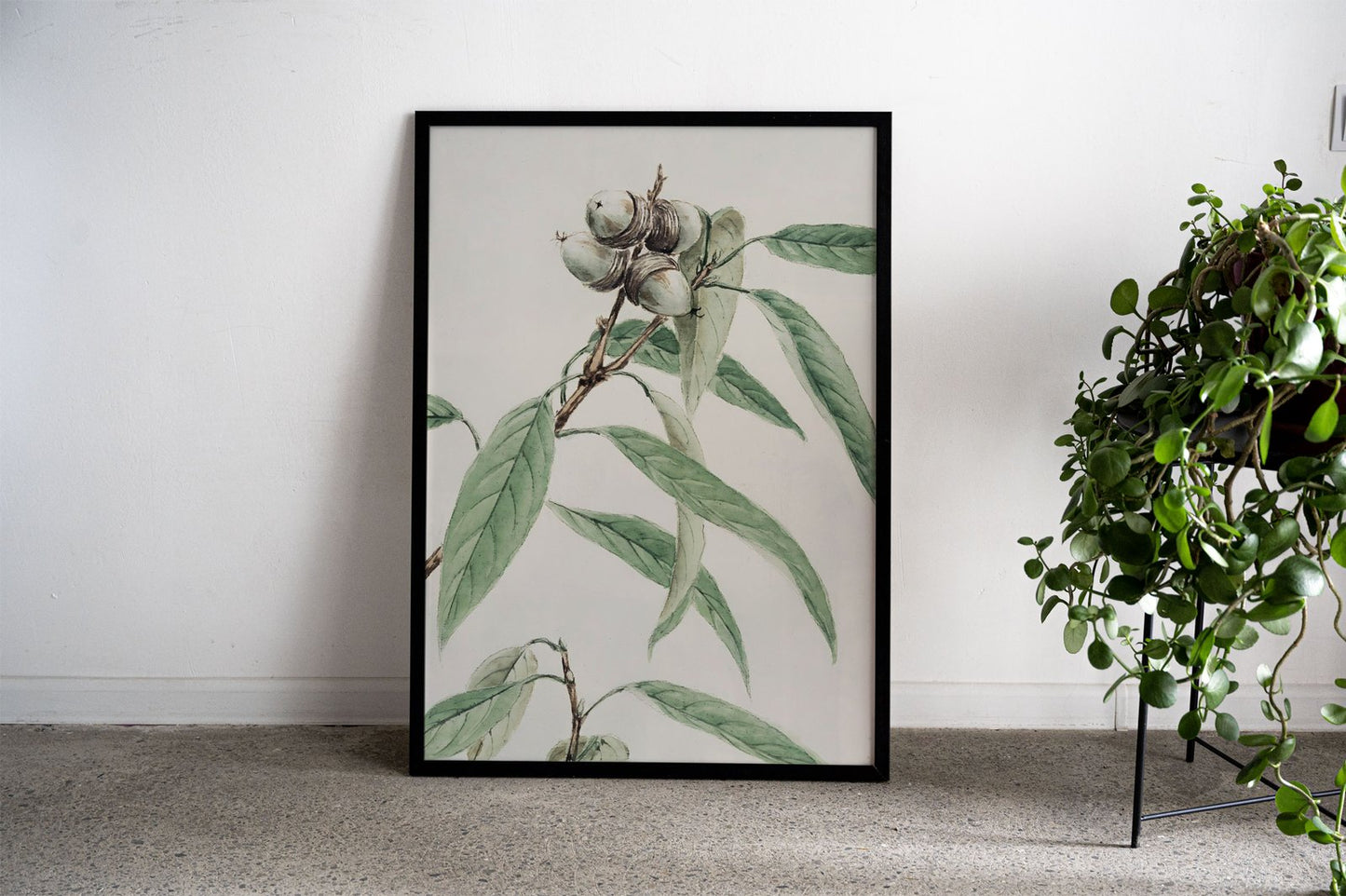 Oak Branch Watercolor Asian Style Poster | W all Art for Home & Office | High-Quality Print