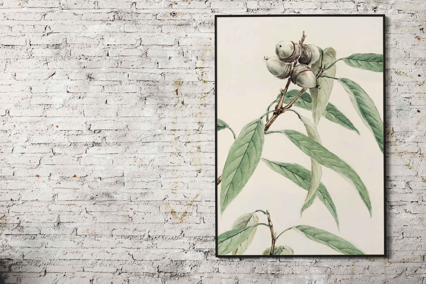 Oak Branch Watercolor Asian Style Poster | W all Art for Home & Office | High-Quality Print