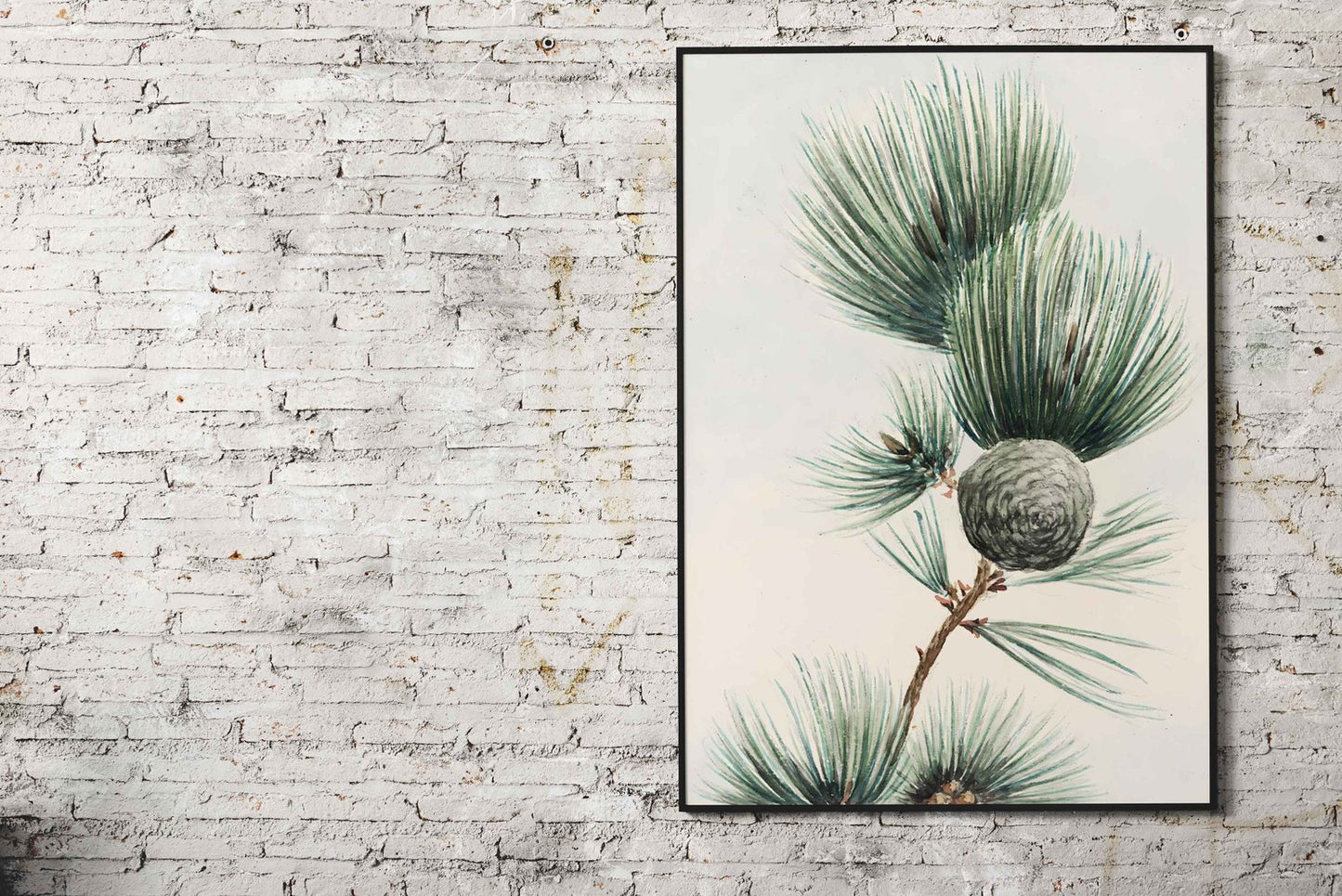 Pine Branch Watercolor Asian Style Poster | W all Art for Home & Office | High-Quality Print