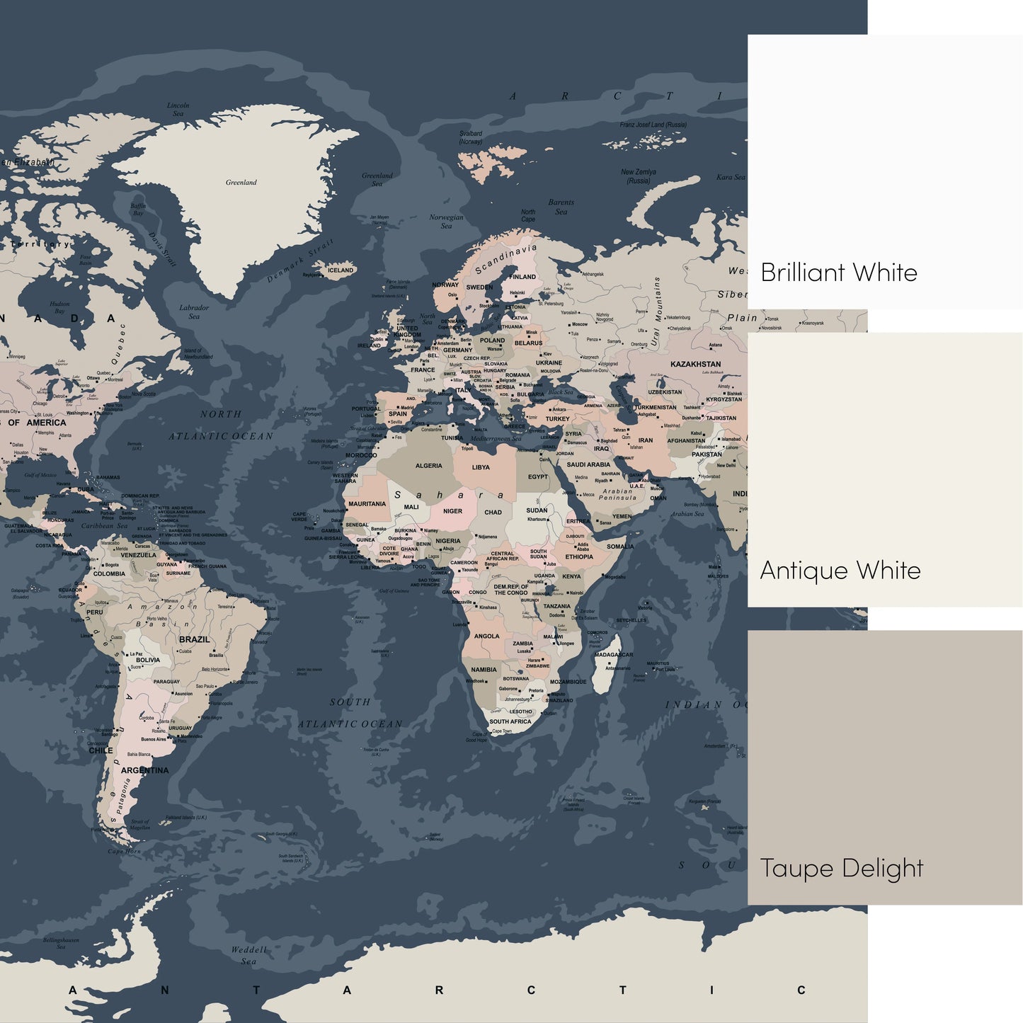 Dark-Themed World Map Mural