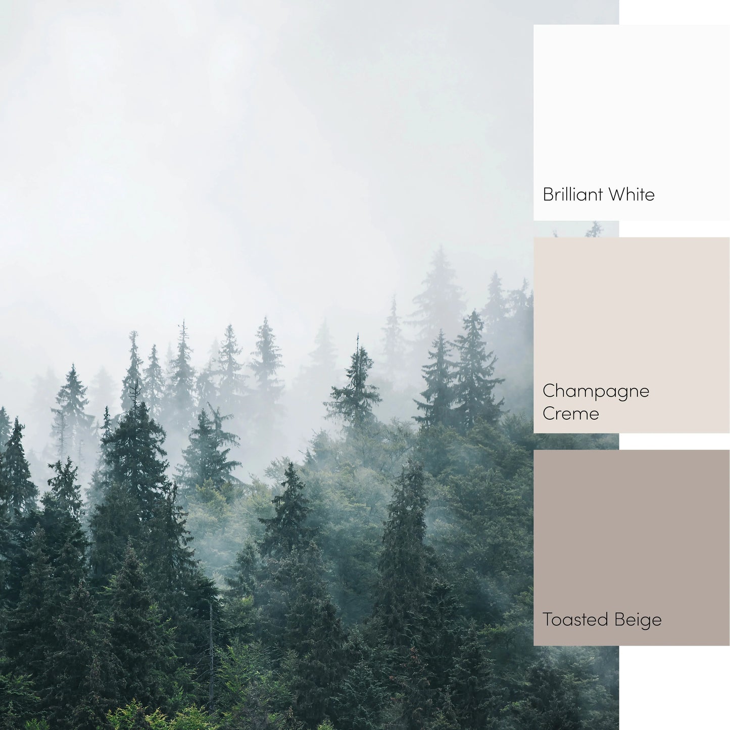 Green and Grey Misty Trees Wall Mural