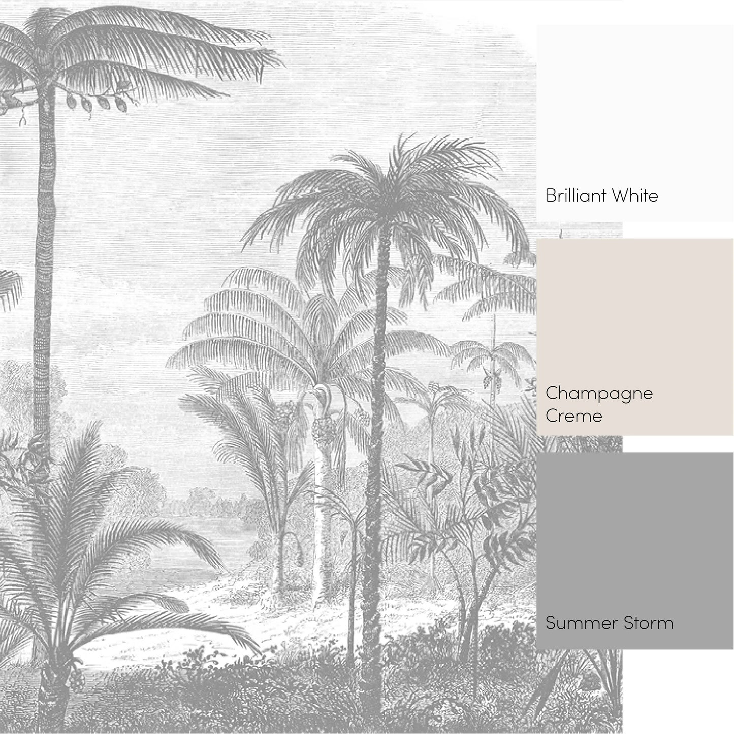 Grey Etched Palms Wall Mural
