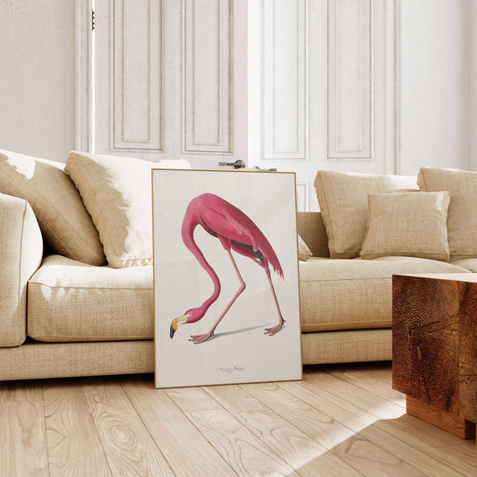 John Audubon - Pink Flamingo