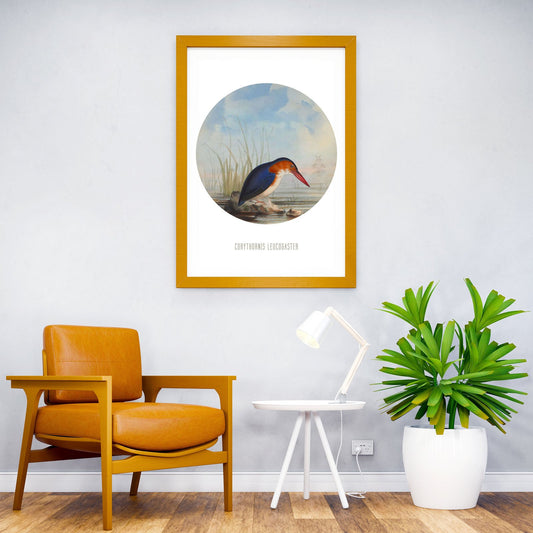 White bellied kingfisher Asian Style Poster | Wall Art for Home & Office | High-Quality Print - High-Quality Visual Display