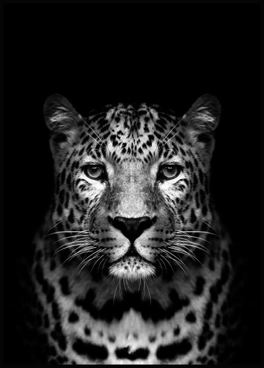 Watercolor leopard black poster for nursery and home wall decor.
