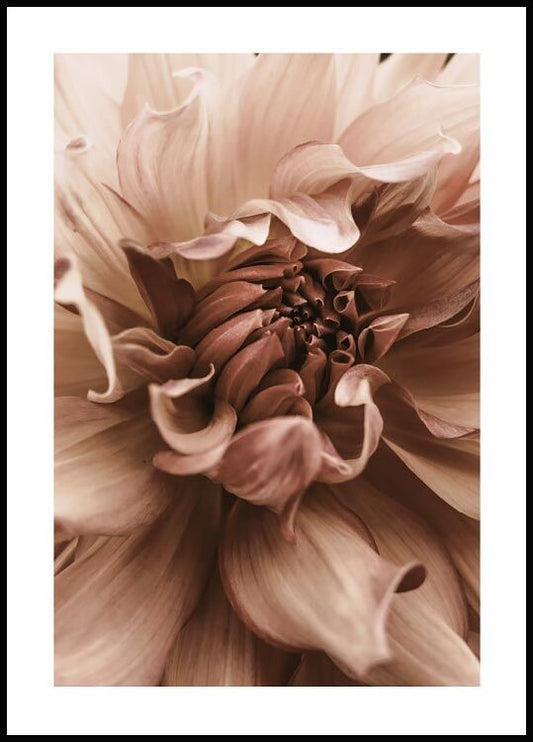 Watercolor dahlia flower poster for nursery and home wall decor.