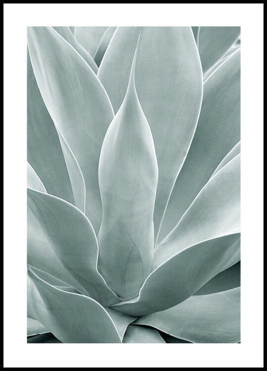 Watercolor agave cactus poster for nursery and home wall decor.