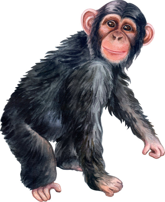 Watercolor big wall sticker set for kids, chimp for nursery and home wall decor.