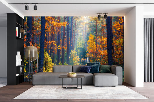 Autumn Forest Wallpaper - peel and stick, removable, Landscape Mural, Sunset, Wall Decoration, Wood, Nature, Forest Mural