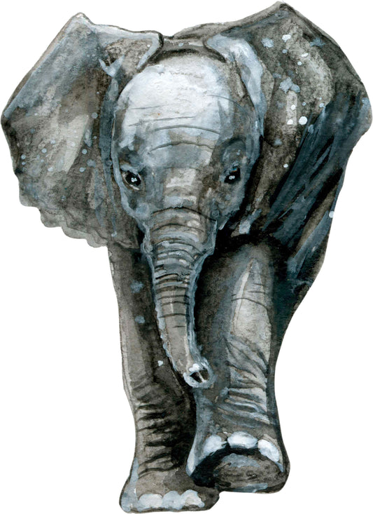 Watercolor big wall sticker set for kids, baby elephant front facing for nursery and home wall decor.