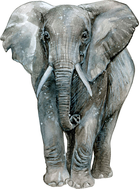 Watercolor big wall sticker set for kids, elephant front facing for nursery and home wall decor.