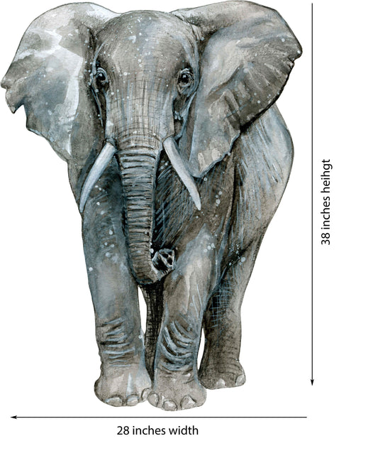 Watercolor big wall sticker set for kids, elephant front facing for nursery and home wall decor.