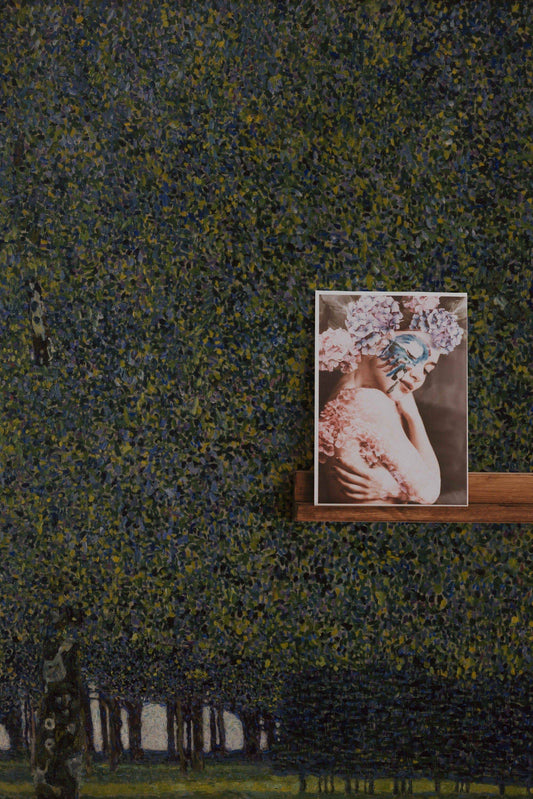 The Park   , Removable Wallpaper, Wall mural, Temporary Mural,  Self adhesive,  #152