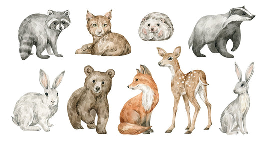 Watercolor watercolor forest animals wall decals | cute nursery wall stickers | peel and stick woodland animals | removable nursery decor for nursery and home wall decor.