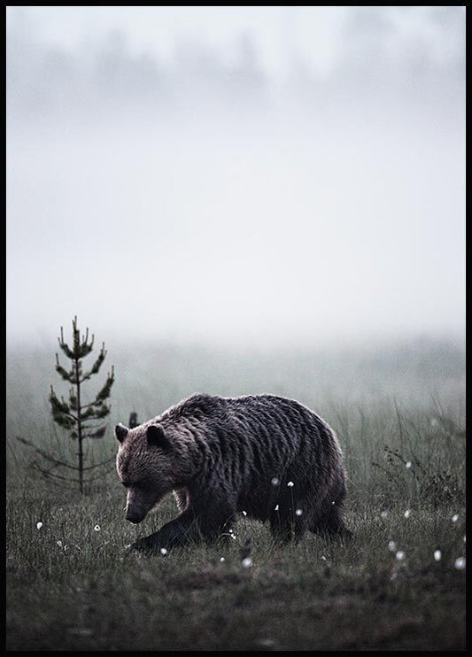Watercolor bear poster for nursery and home wall decor.