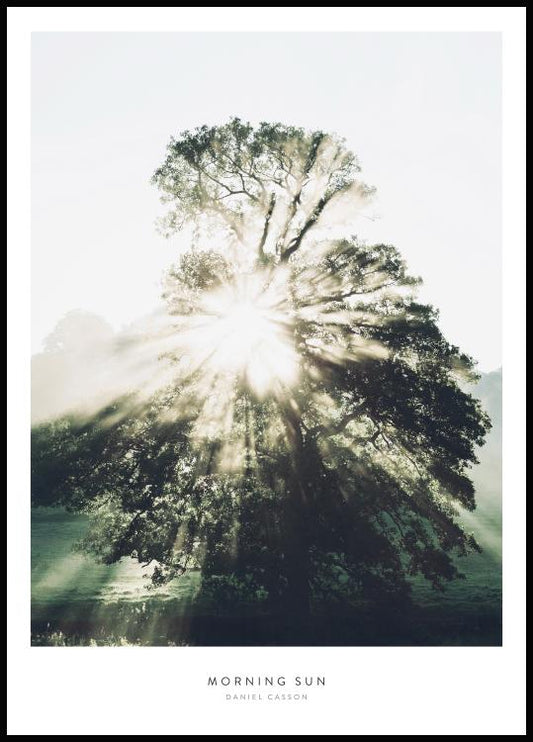 Watercolor morning sun poster for nursery and home wall decor.