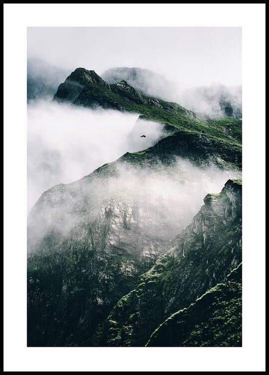 Mountain Mist Poster
