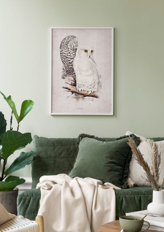 Watercolor snowy owl poster for nursery and home wall decor.