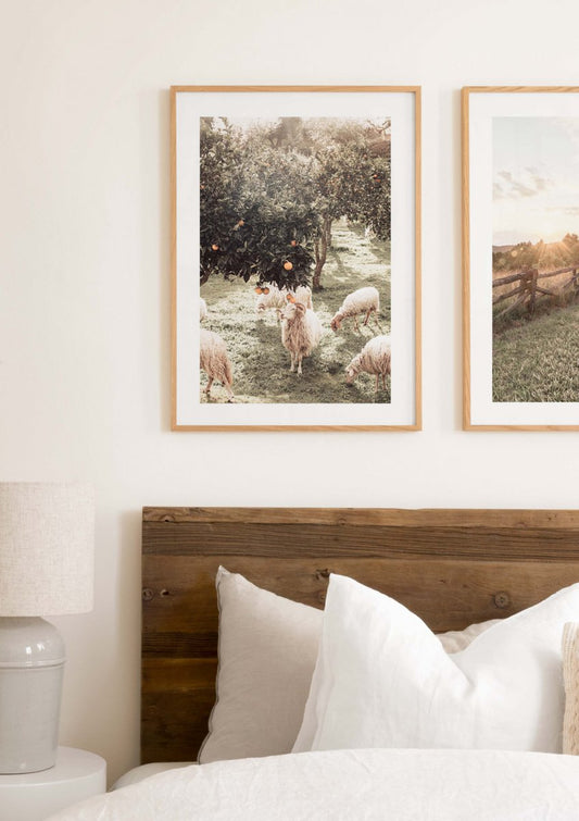 Watercolor sheep and orange tree poster for nursery and home wall decor.