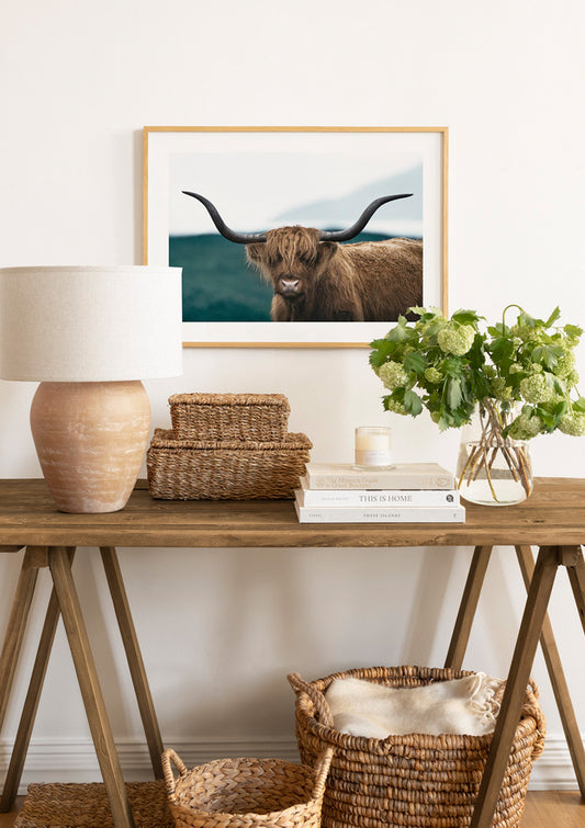 Wild Highland Cattle Poster
