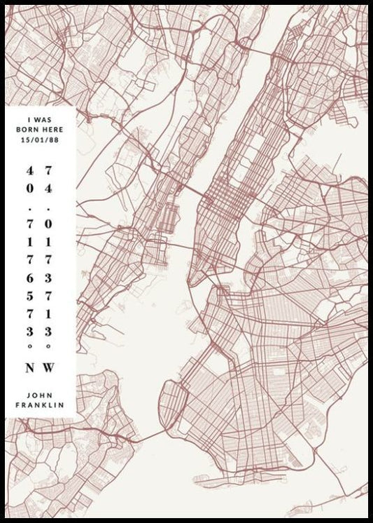 Map No2 Day Pink Personal Poster