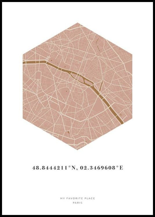 Hexagon Map Pink Mustard Personal Poster