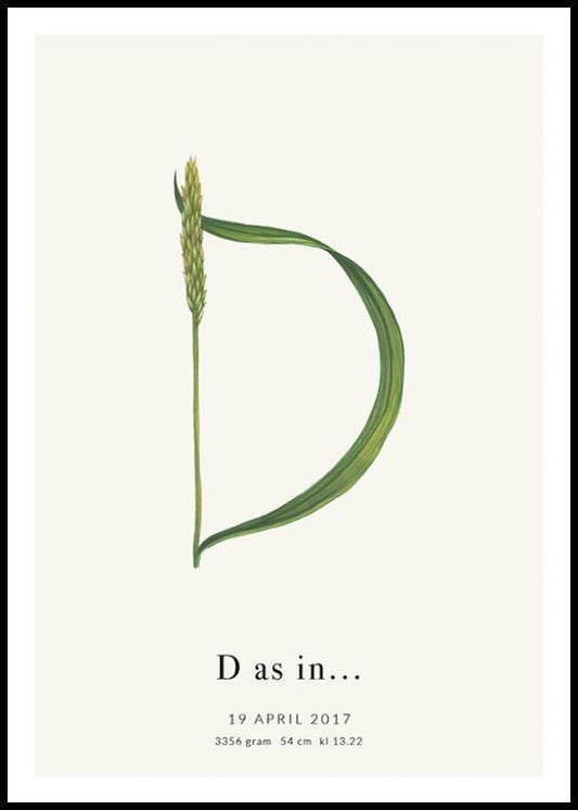 Botanic Letter D Personal Poster