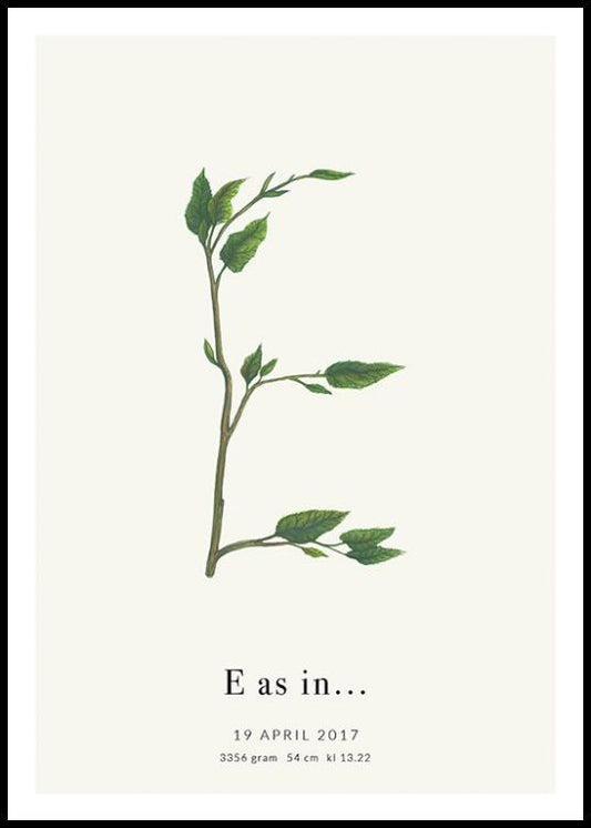 Botanic Letter E Personal Poster